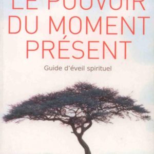 le-pouvoir-du-moment-present-d-eckhart-622x0-1