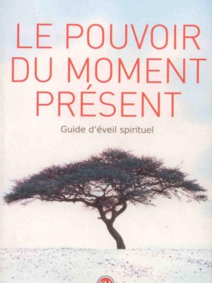 le-pouvoir-du-moment-present-d-eckhart-622x0-1